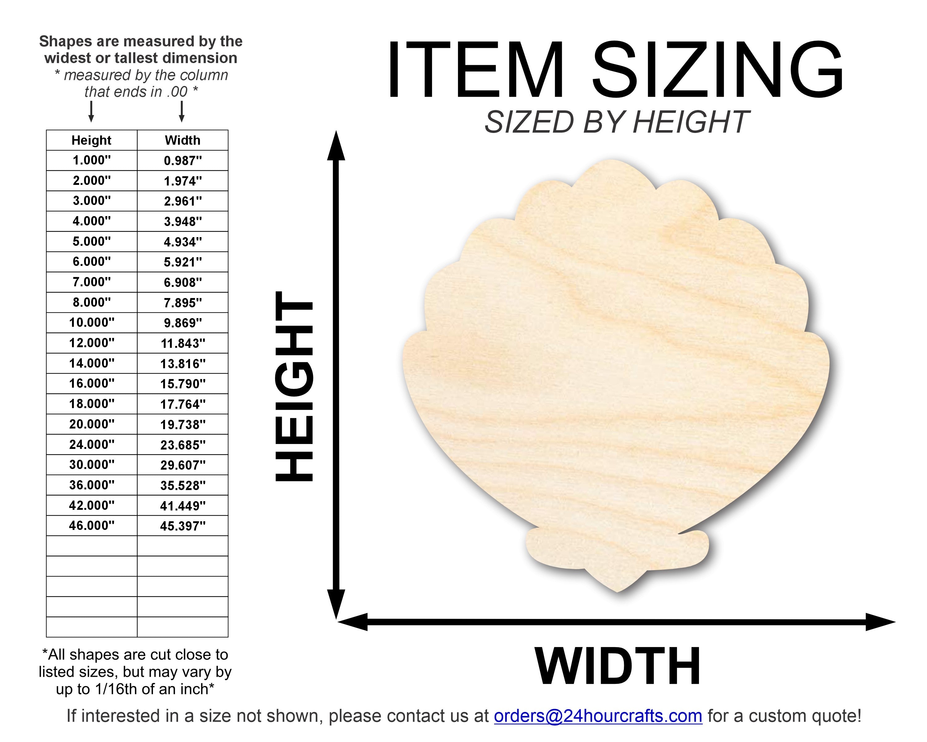 Unfinished Baltic Birch Wood Clam Sea Shell Shape for Up to 46 DIY Crafts