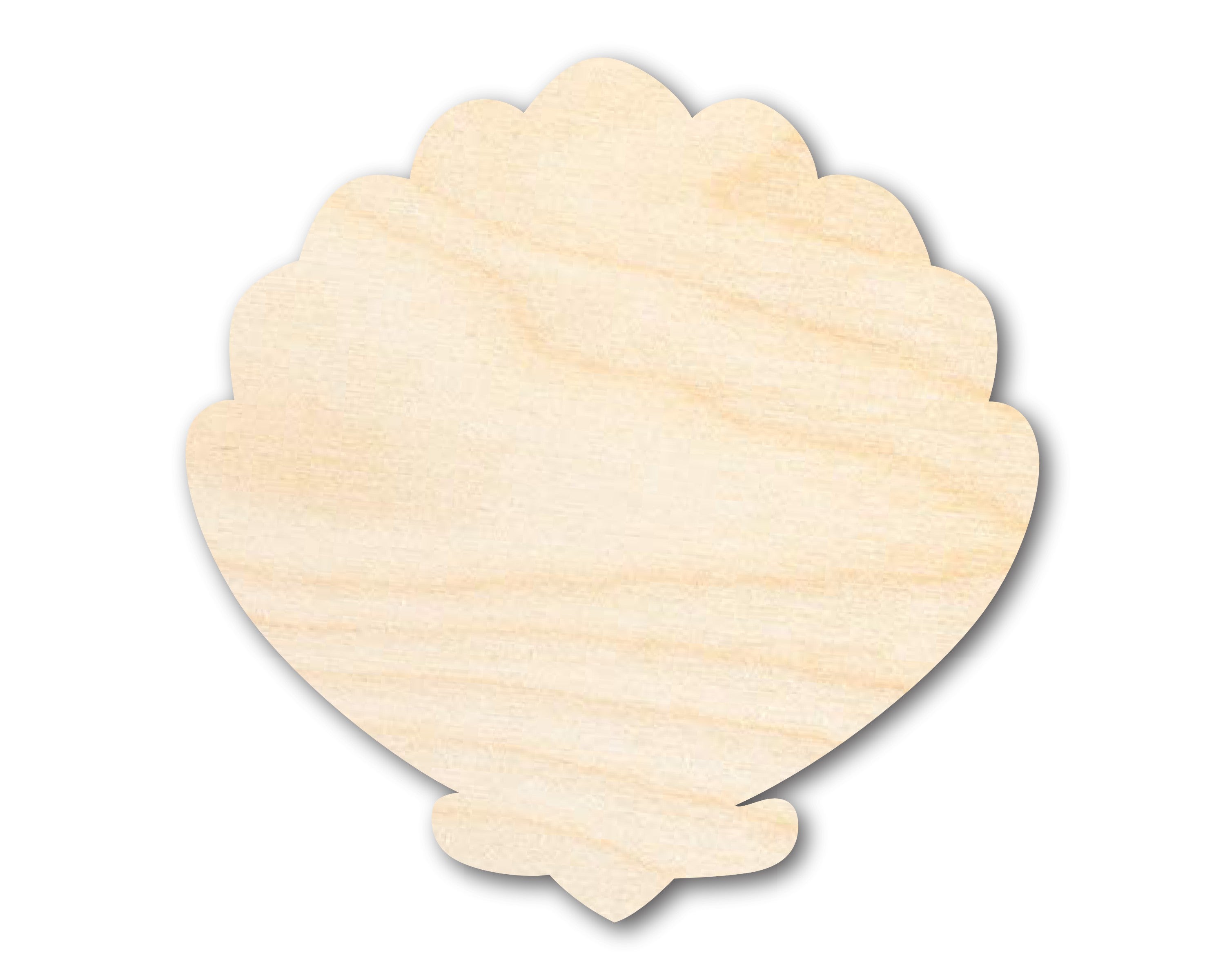 Unfinished Baltic Birch Wood Clam Sea Shell Shape for Up to 46 DIY Crafts