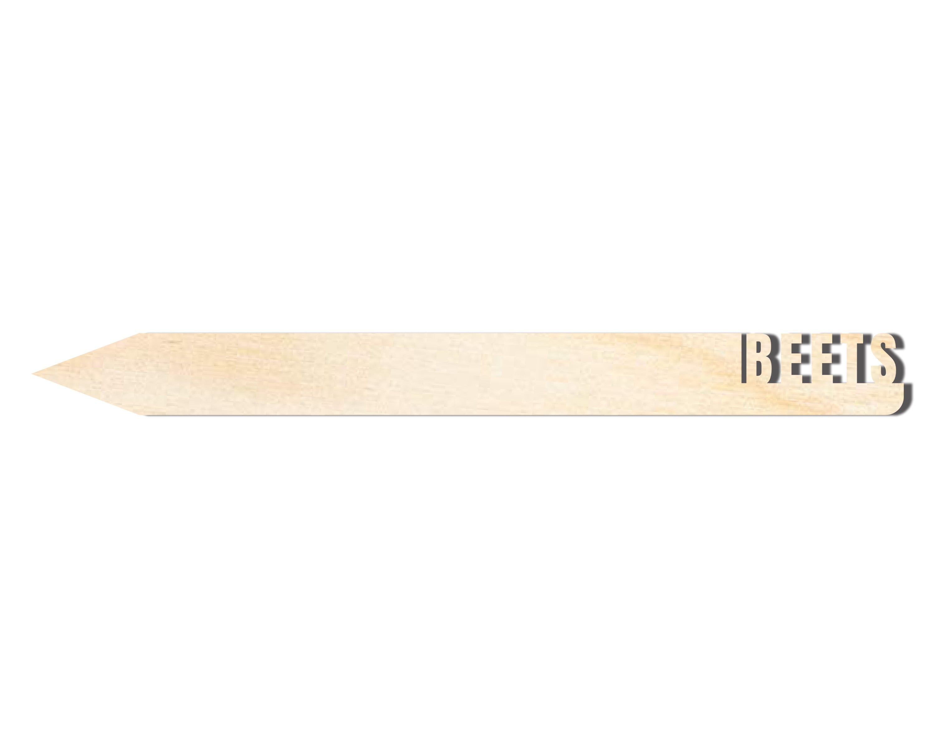 Unfinished Baltic Birch Wood Beetles Cutout Garden Stake for Up to 24 DIY Craft Projects