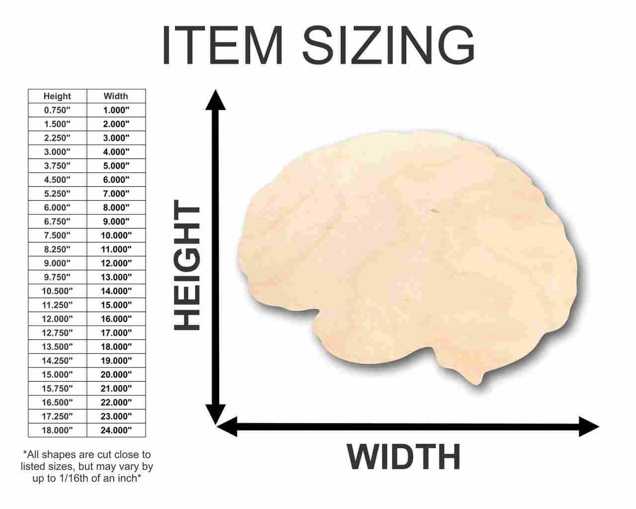 Unfinished Baltic Birch Wood Brain - Shaped Science and Craft Supplies for Up to 46 DIY Projects
