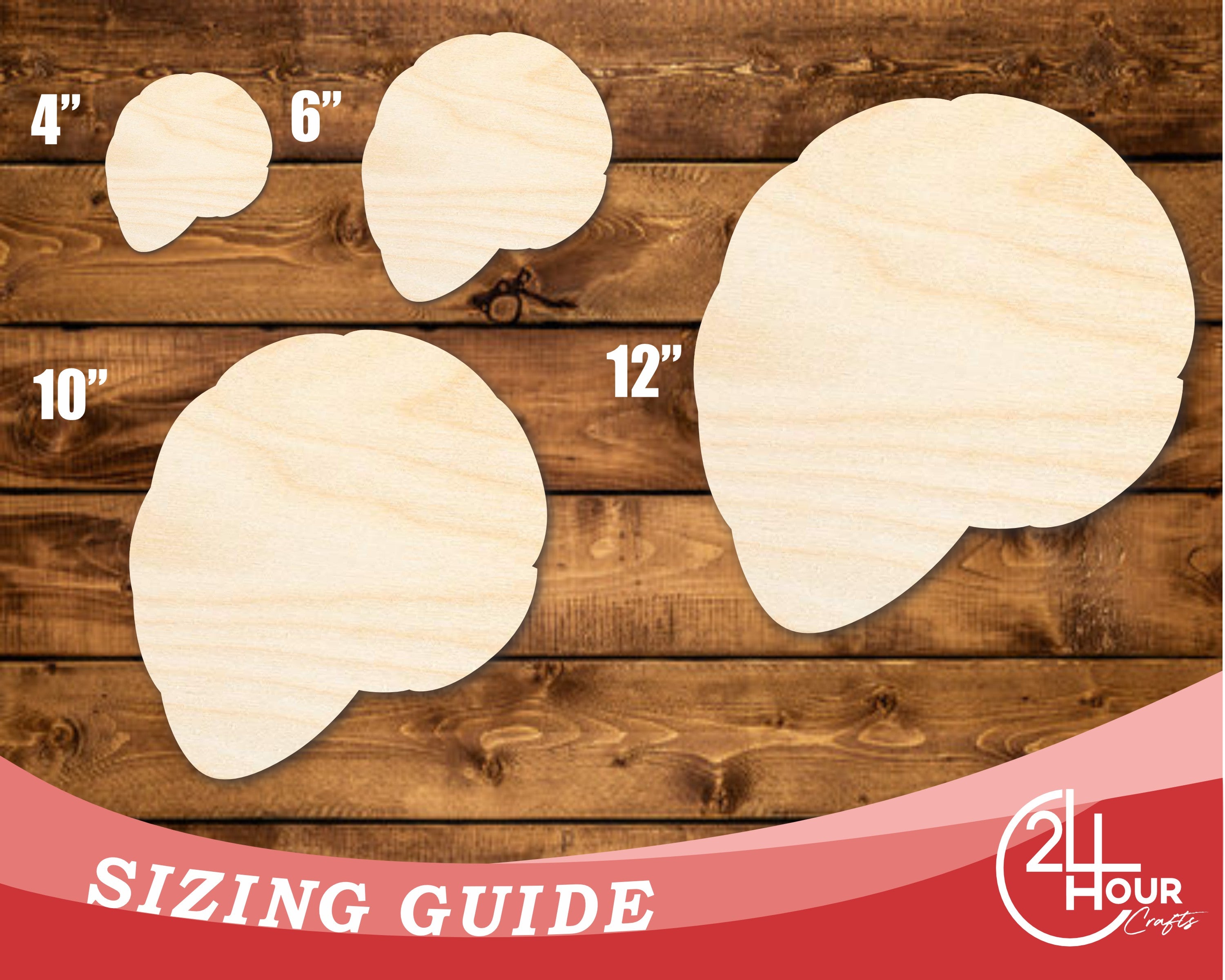DIY Unfinished Baltic Birch Shell Shape Cutouts - Up to 46 Inches for 24+ Crafts