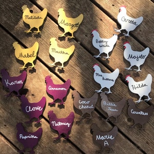 DIY Unfinished Wood Hen Chicken Shape for Farm Animal Crafts (up to 46)