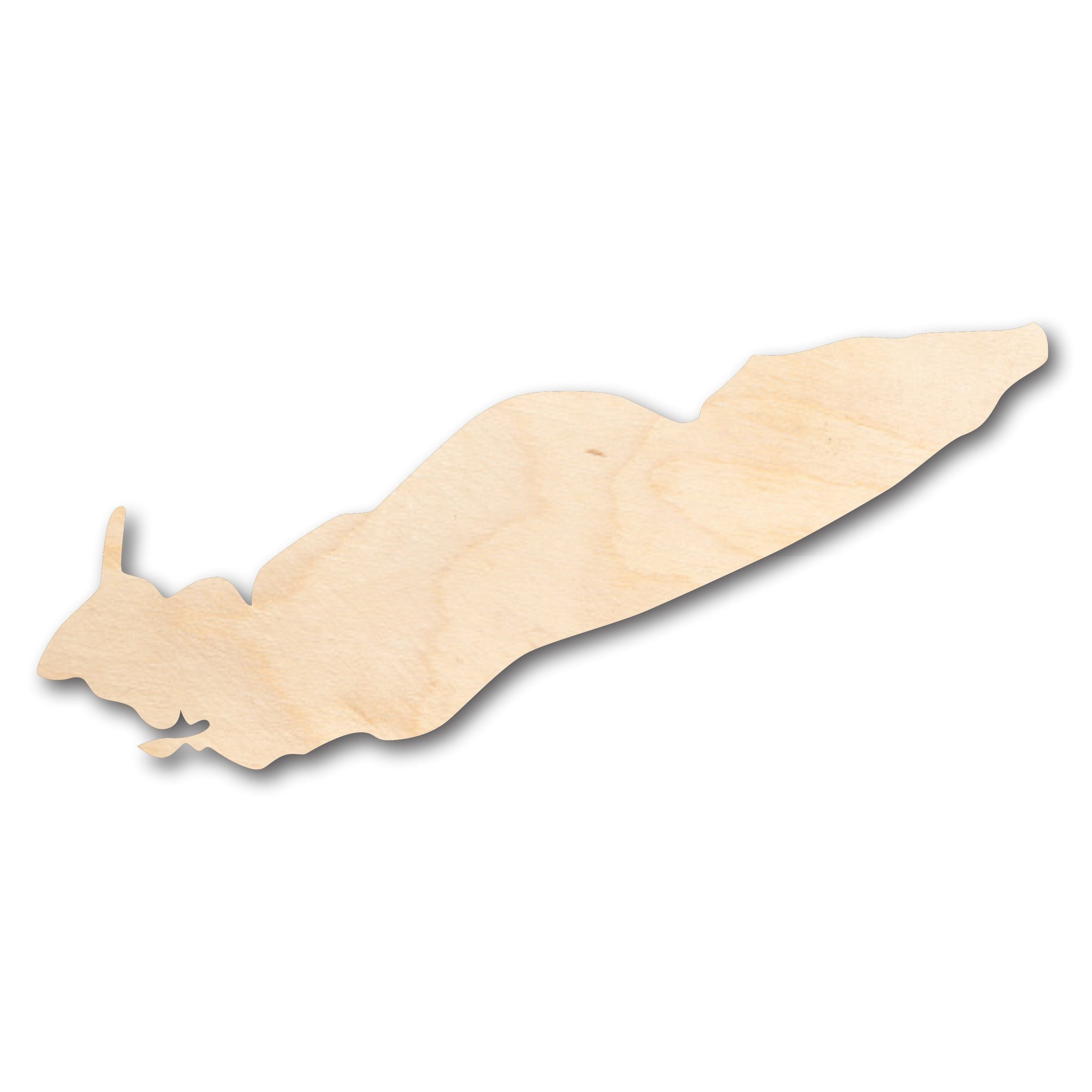 DIY Unfinished Wood Lake Erie Shape for Crafts - Up to 46 Inches