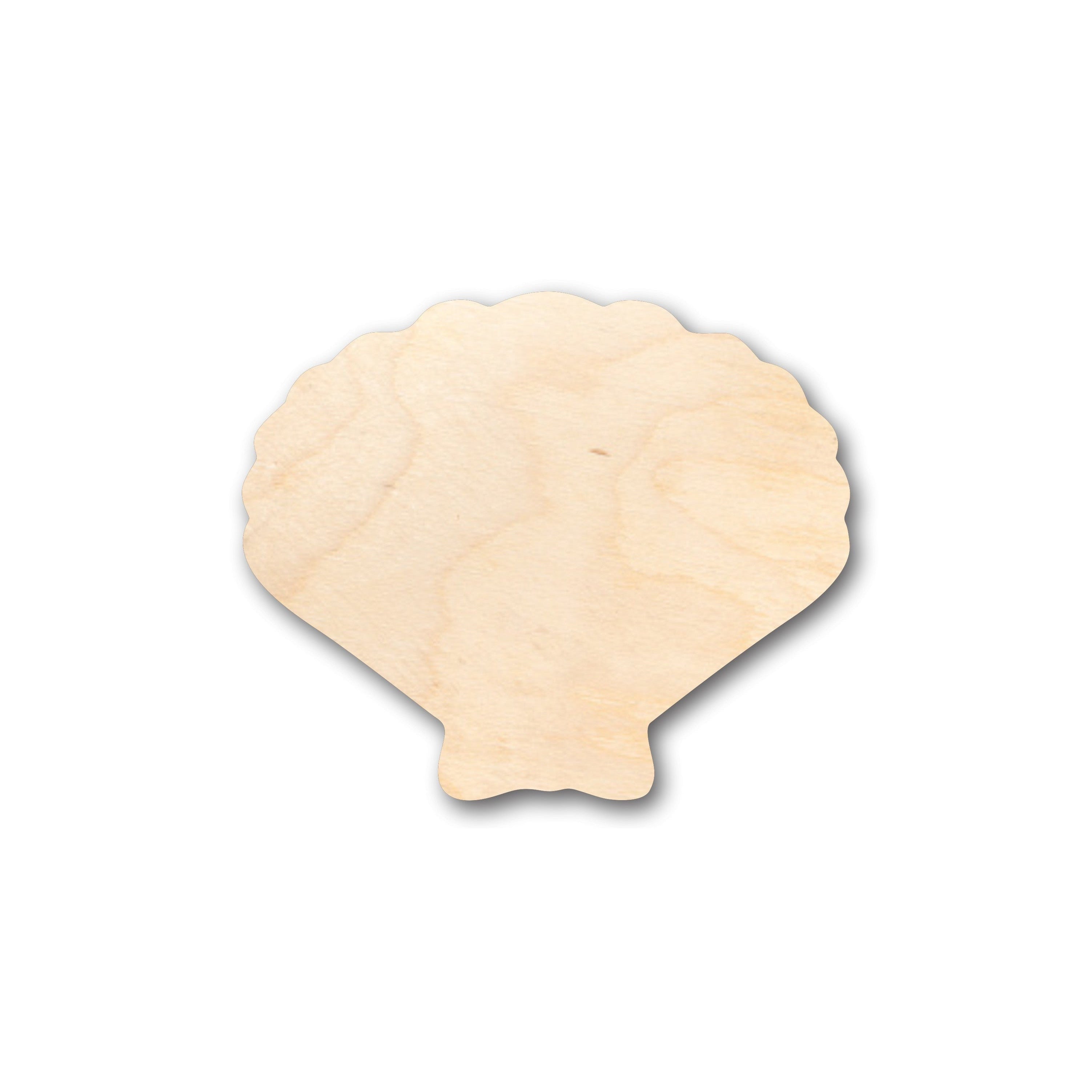 Unfinished Wood Sea Shell Clam Shape - Ideal for Up to 46 DIY Craft Projects
