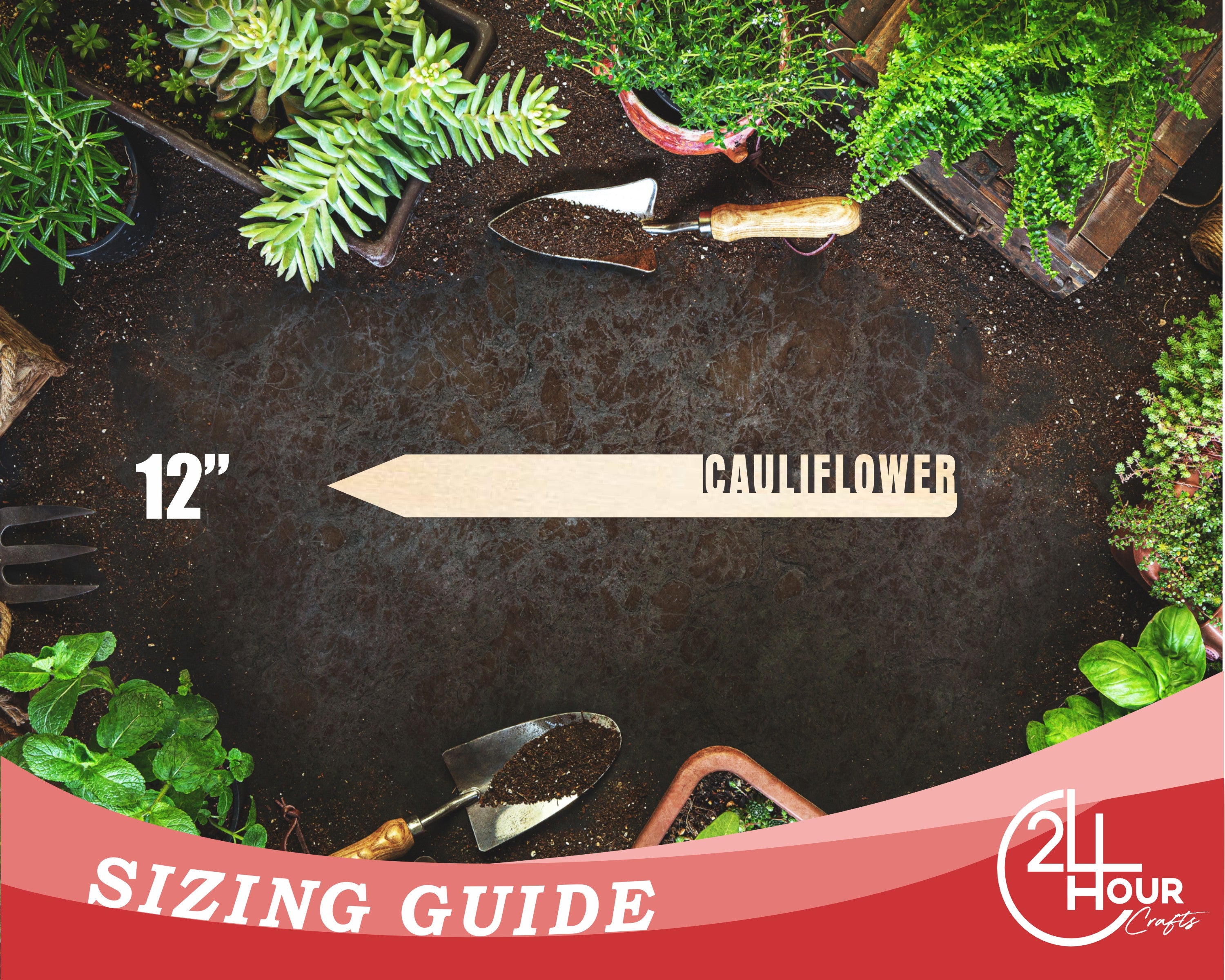 Unfinished DIY Craft Cutout of Wood Cauliflower Garden Stake, Available for up to 24 DIY Projects