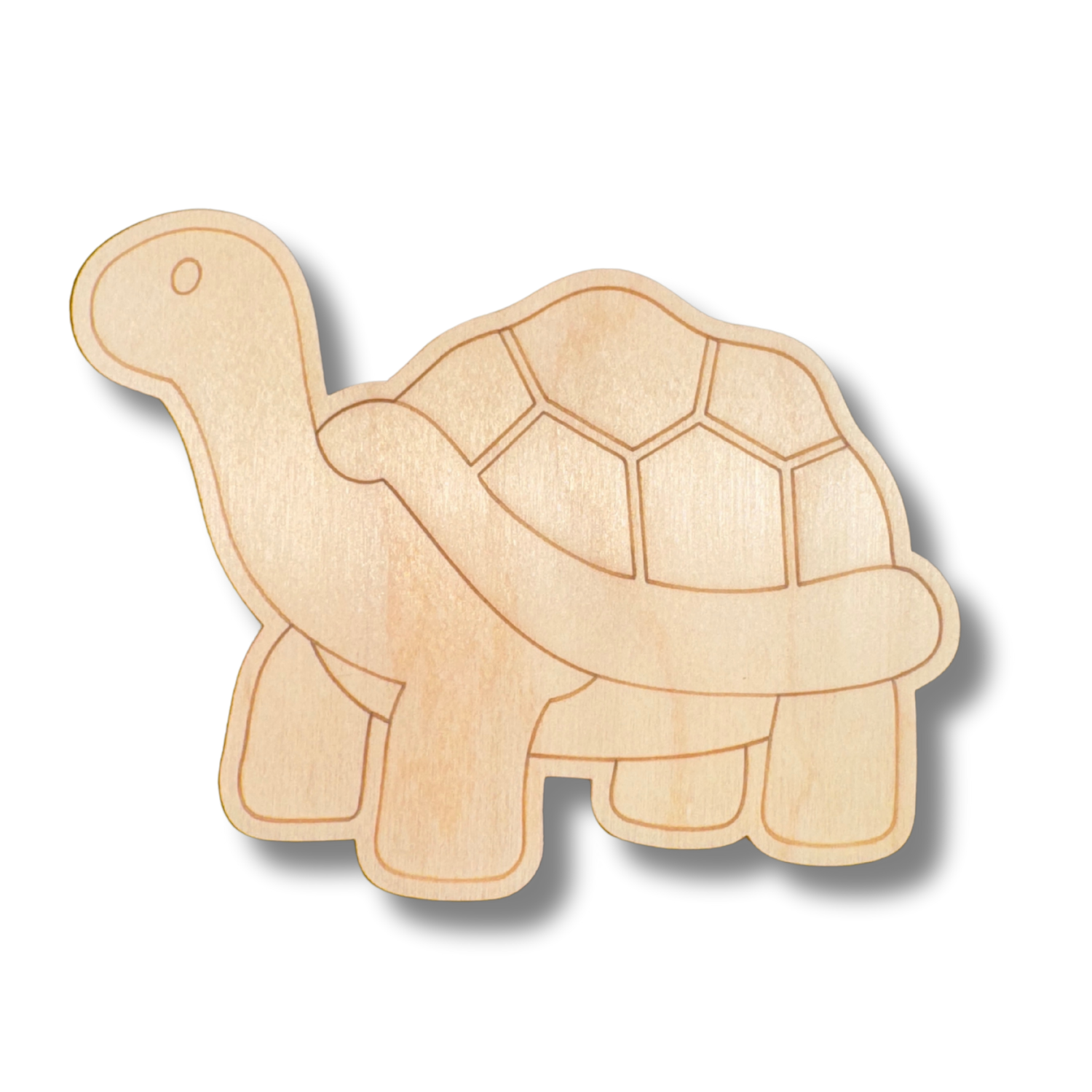 DIY Unfinished Wood Etched Tortoise Shapes for Up to 30 Paint - by - Line Crafts