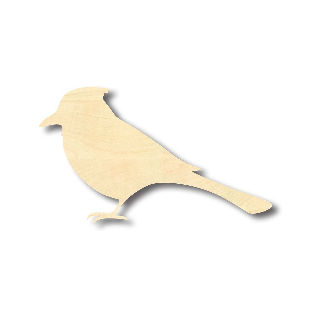 DIY Unfinished Wood Bluebird & Blue Jay Shapes for Wildlife Crafts (Up to 46)