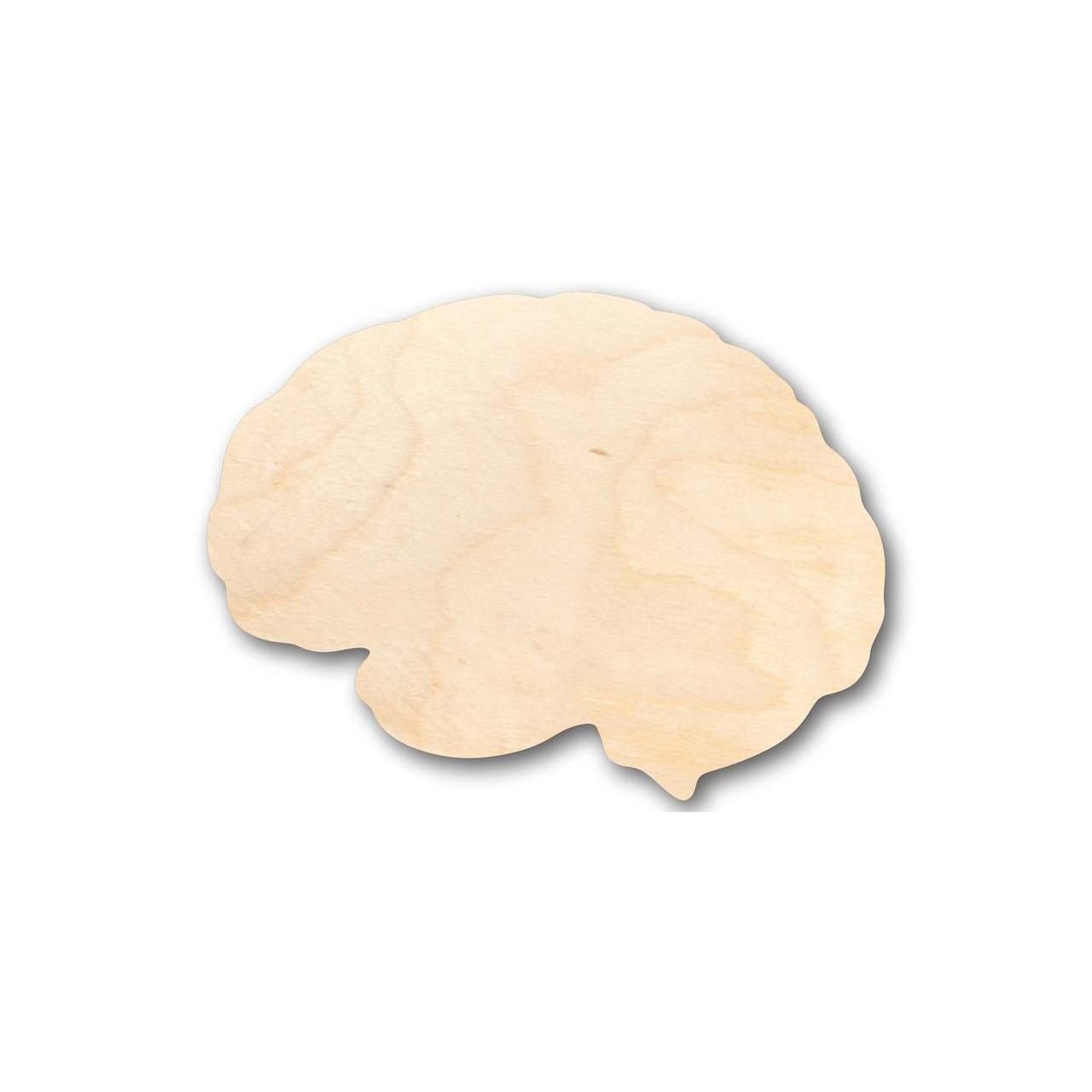 Unfinished Baltic Birch Wood Brain - Shaped Science and Craft Supplies for Up to 46 DIY Projects