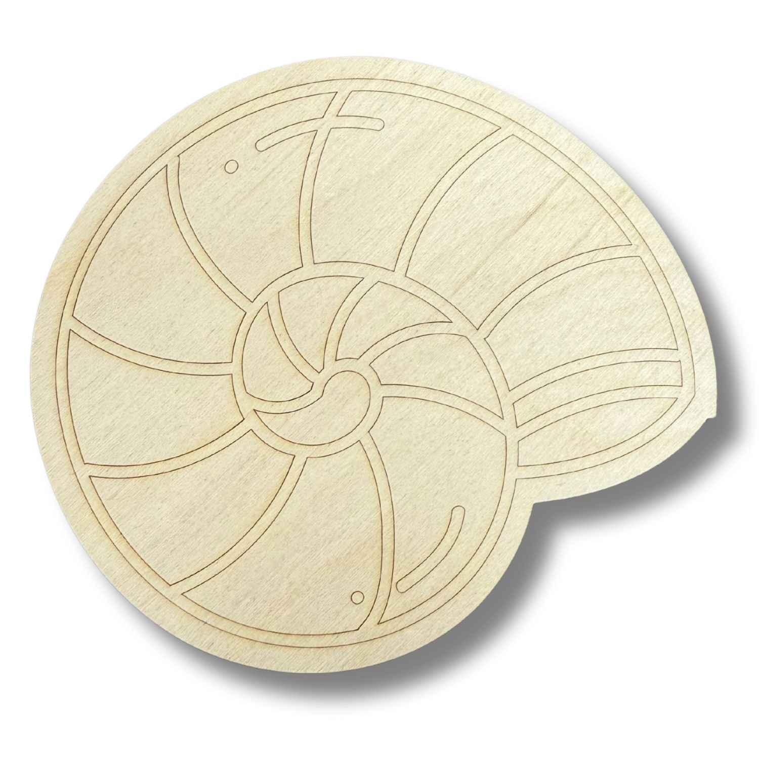 Unfinished DIY Wood Crafts in Etched Sea Shell Shape for Paint By Line Projects, Up to 30 Pieces