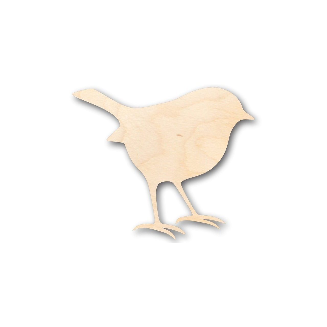 DIY Unfinished Wood Robin Shape for Springtime Wildlife Crafts (up to 46)