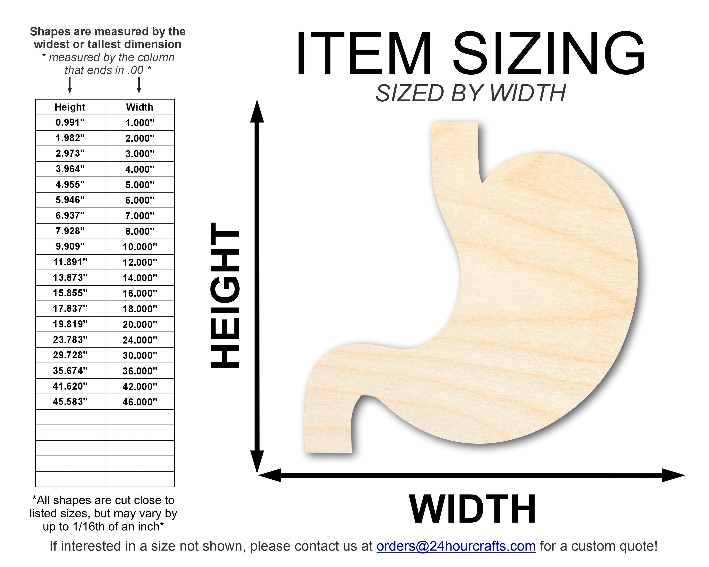 Unfinished Baltic Birch Stomach Shape DIY Craft Cutouts up to 46 Inches