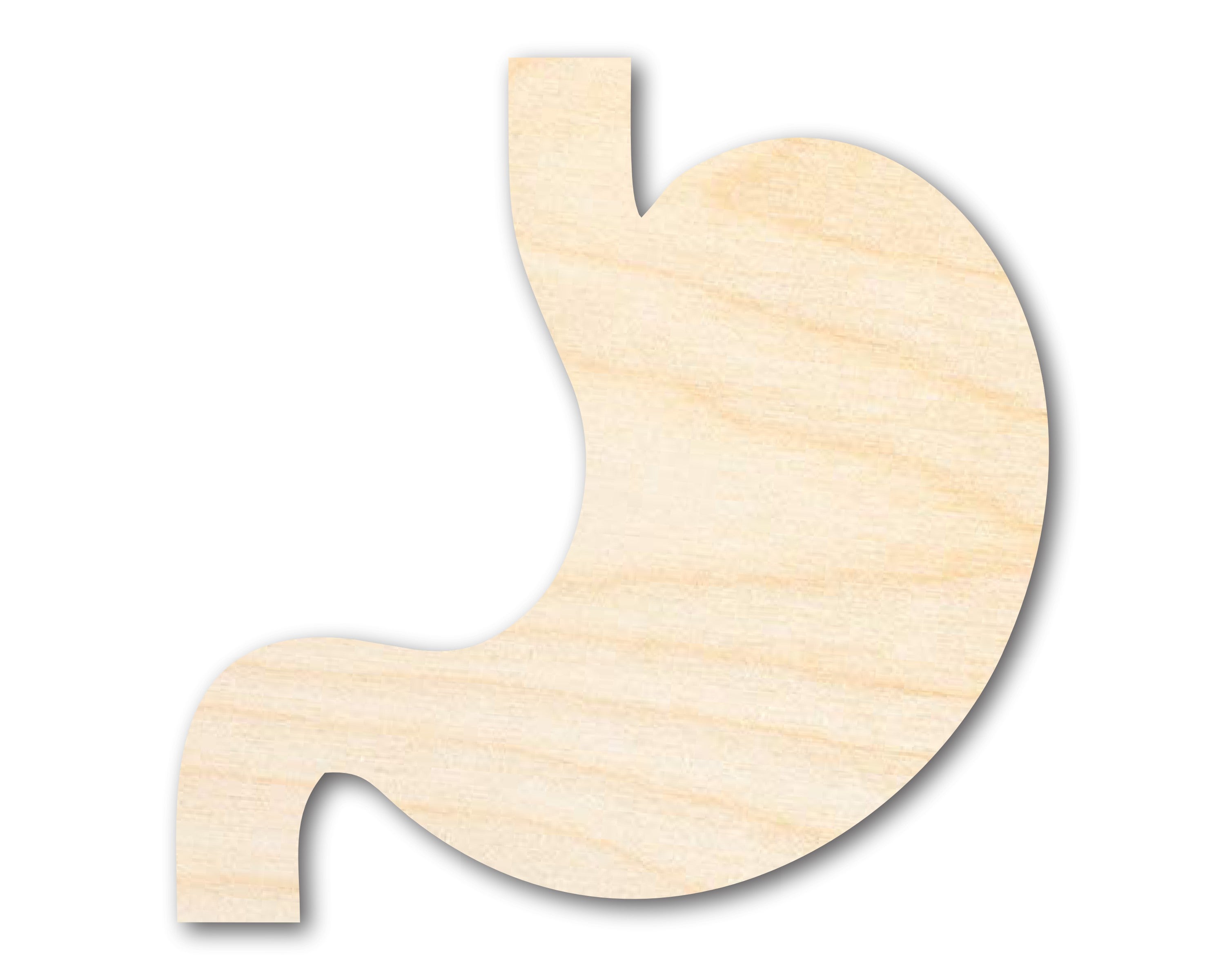 Unfinished Baltic Birch Stomach Shape DIY Craft Cutouts up to 46 Inches