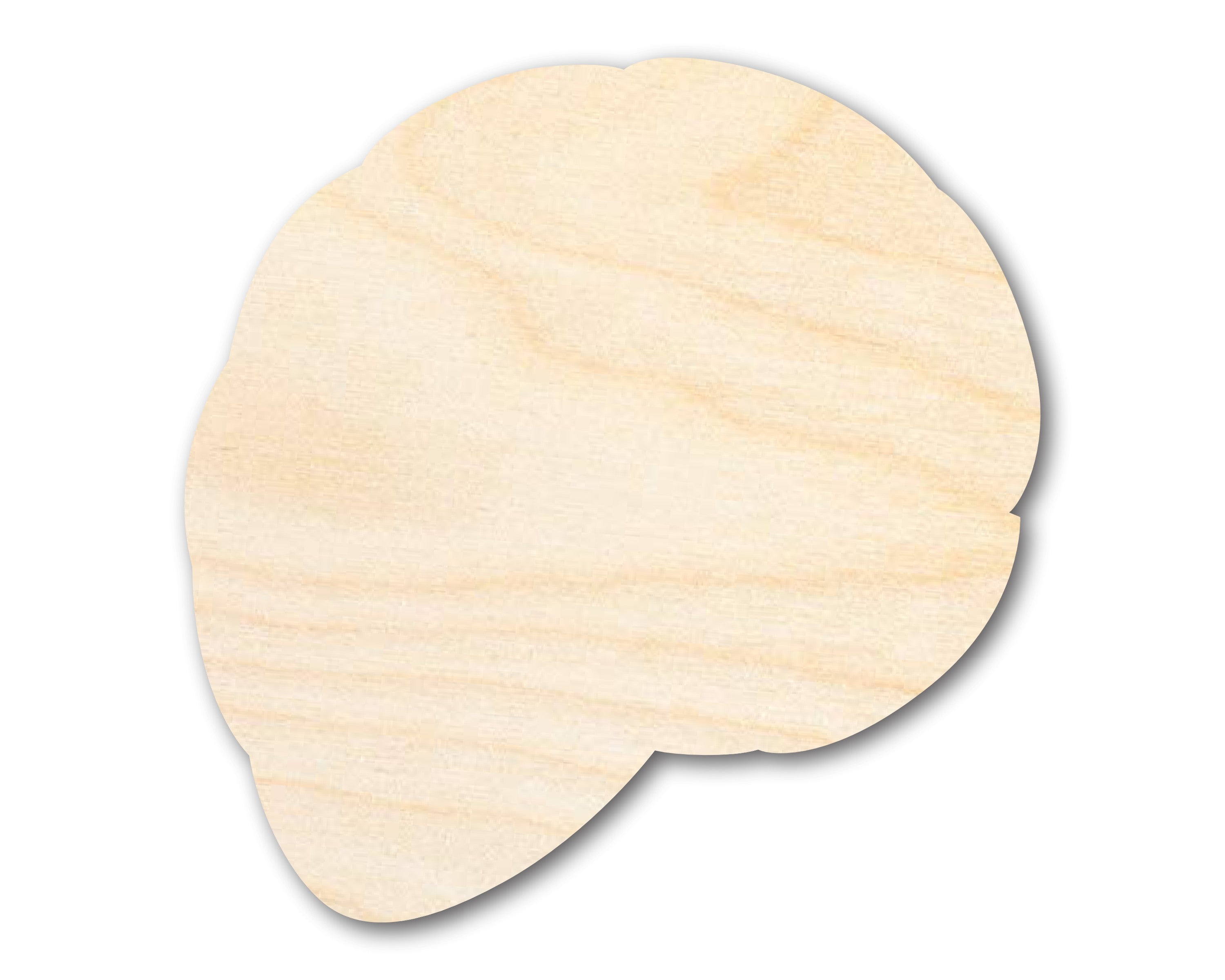 DIY Unfinished Baltic Birch Shell Shape Cutouts - Up to 46 Inches for 24+ Crafts