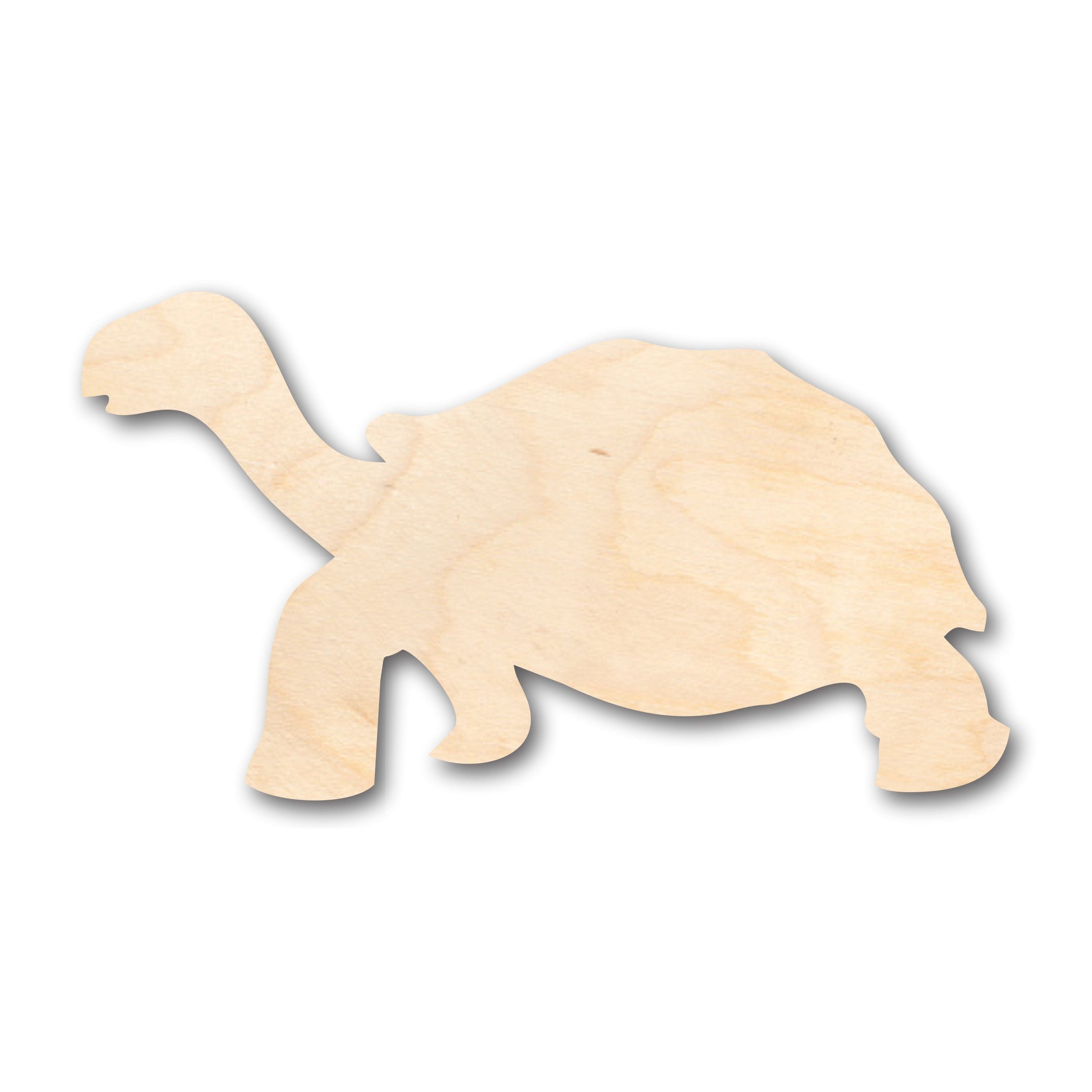 Unfinished Baltic Birch Wood Tortoise Shapes for Up to 46 DIY Crafts
