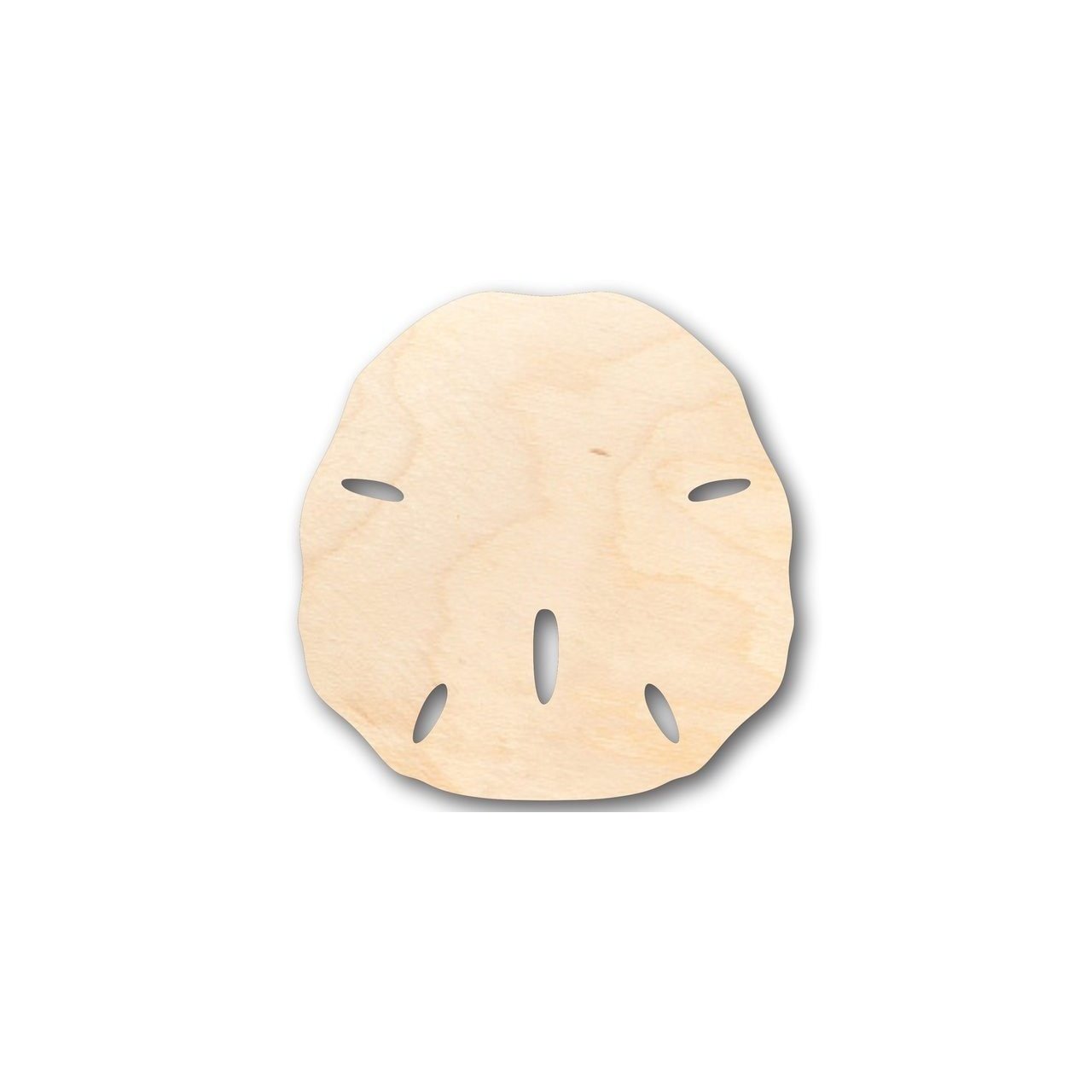 Unfinished Baltic Birch Wood Sand Dollar Shape for Ocean - Beach - Nursery - Craft Projects, Suitable for up to 46 DIY Ideas