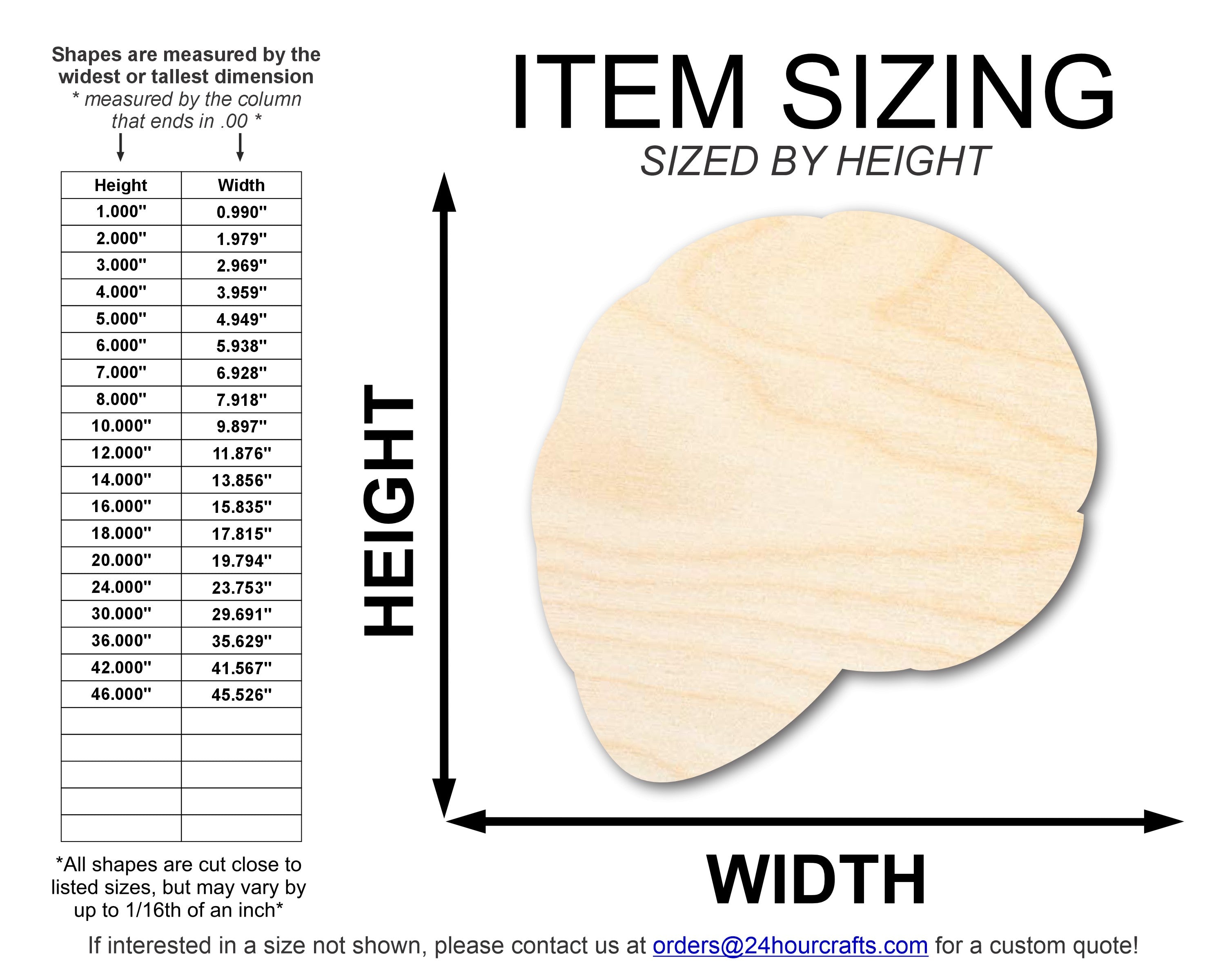 DIY Unfinished Baltic Birch Shell Shape Cutouts - Up to 46 Inches for 24+ Crafts
