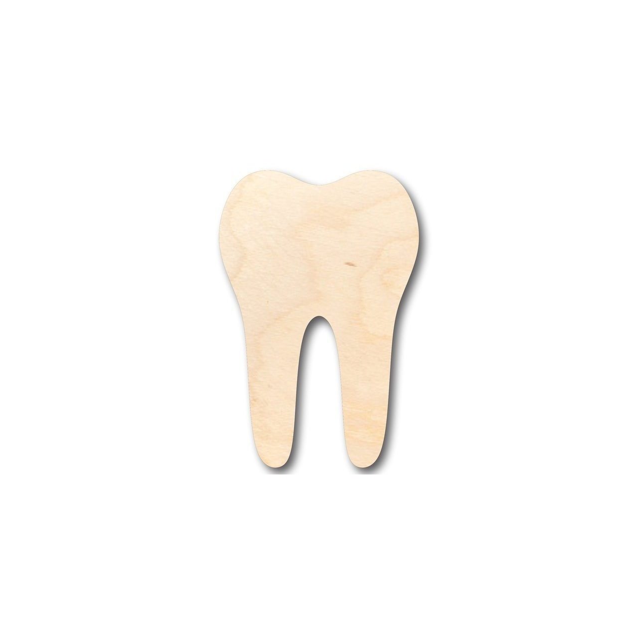 Unfinished Wood Tooth - Shaped Crafts for Tooth Fairy and Dentist DIY Projects, Sizes Up to 46 Inches