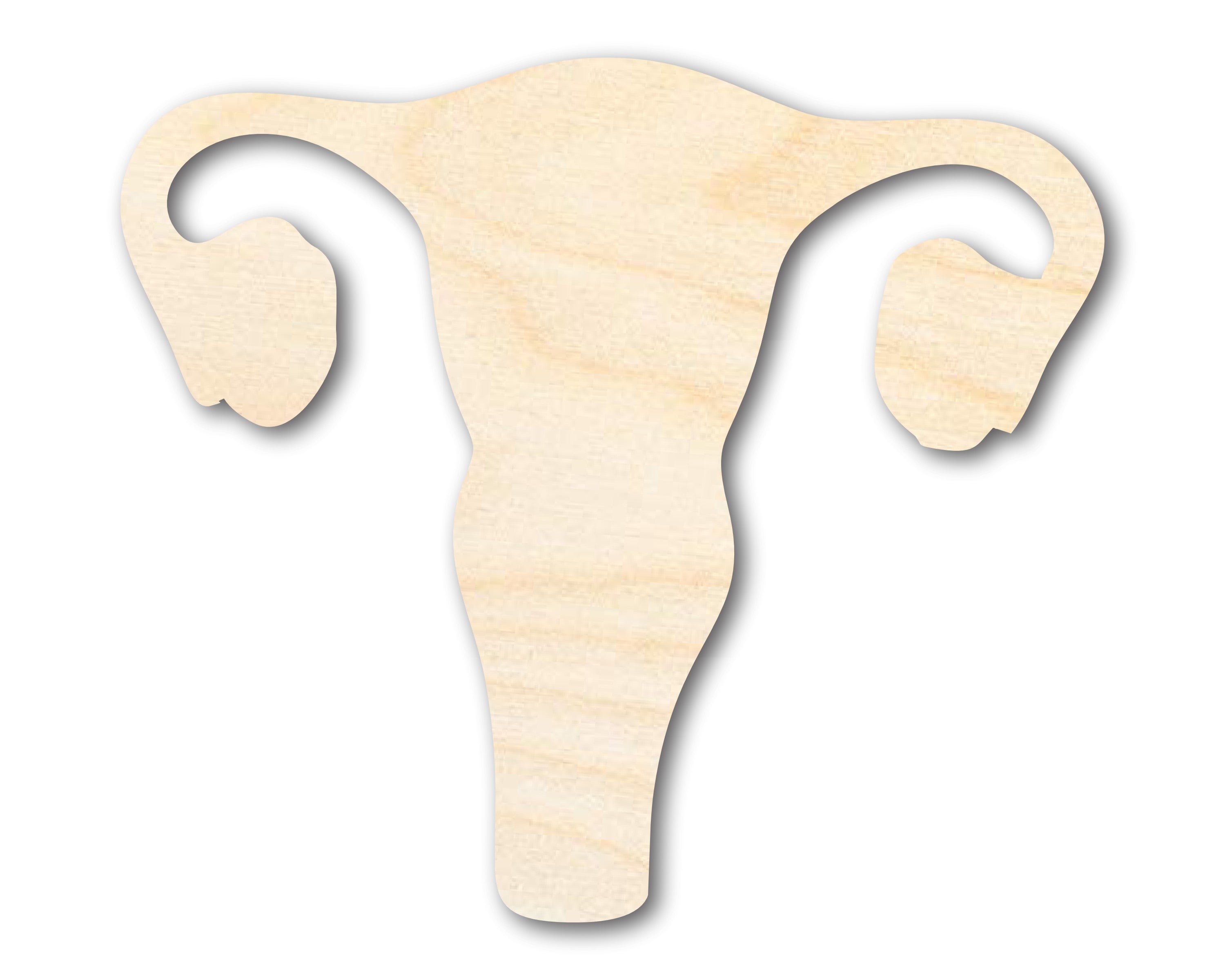 Unfinished DIY Craft Cutout in the Shape of a Uterus, Available for up to 46 DIY Projects