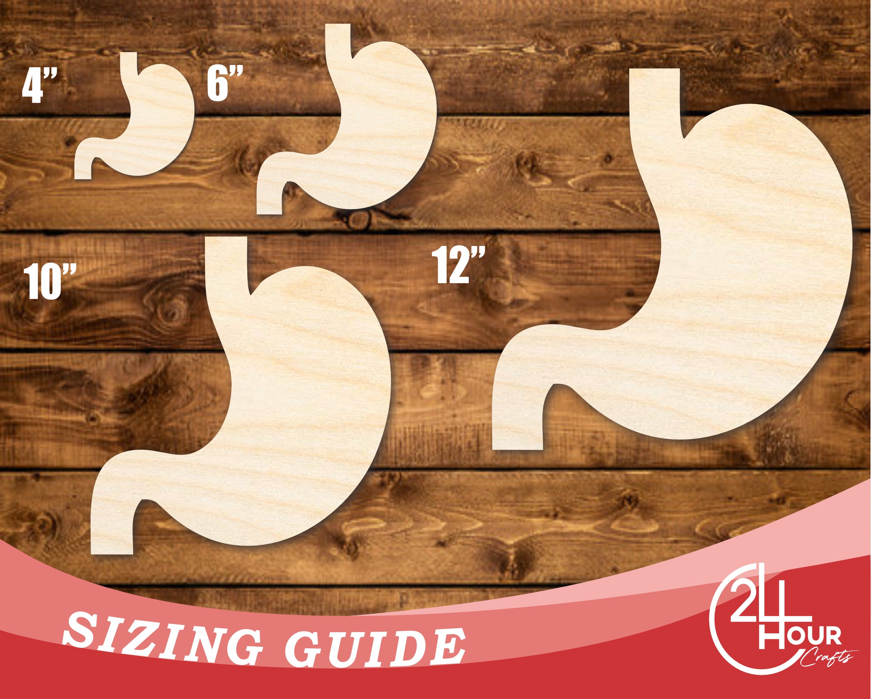 Unfinished Baltic Birch Stomach Shape DIY Craft Cutouts up to 46 Inches