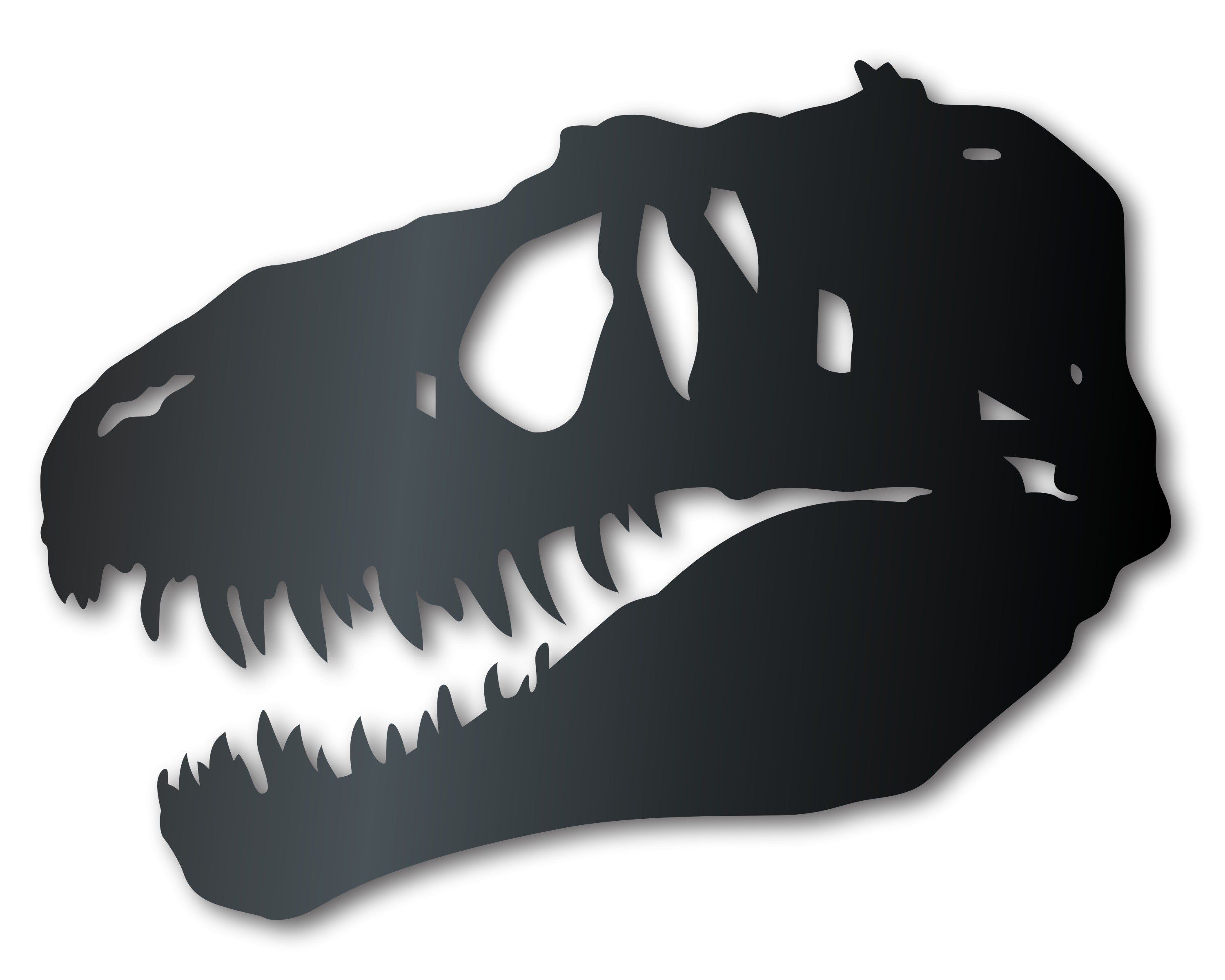 Decorative Metal T-Rex Dinosaur Skull Wall Art with 20 Different Color Choices